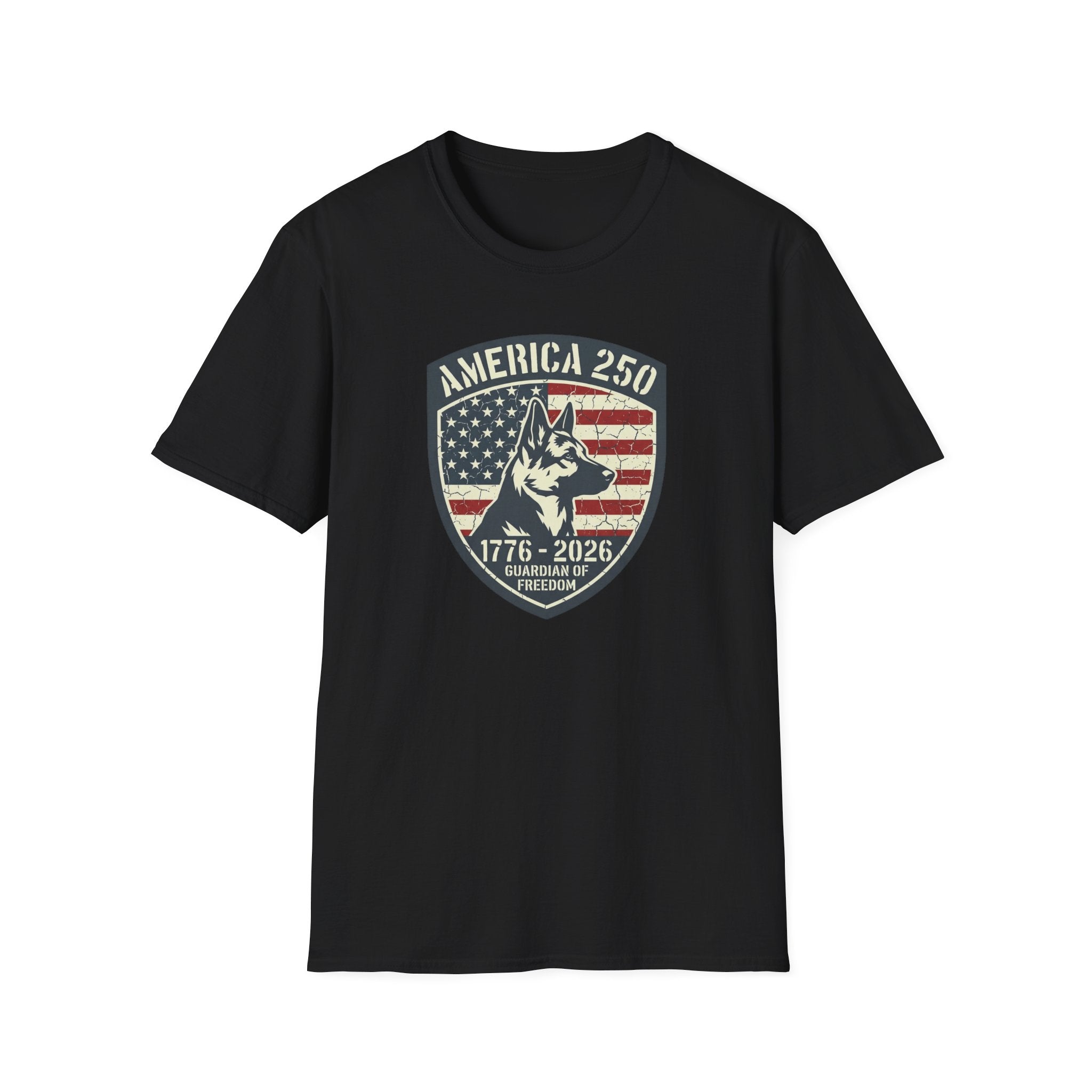 America 250 T-Shirt
