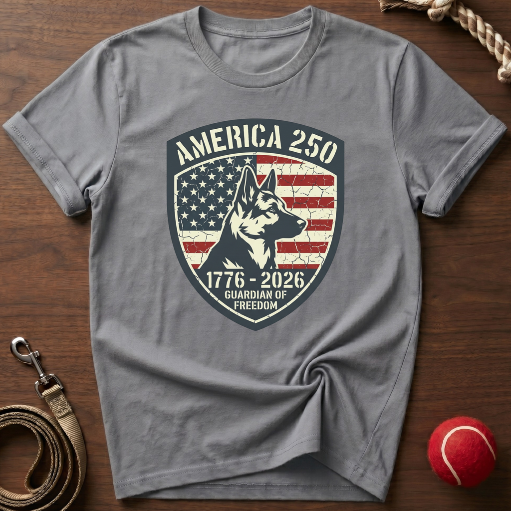 America 250 T-Shirt